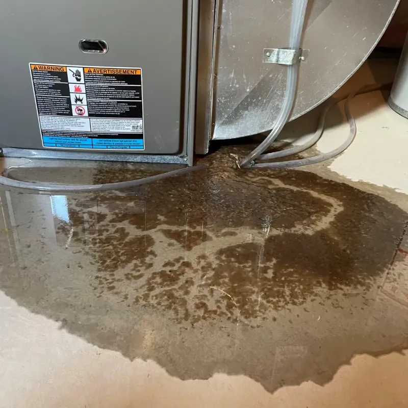 Appliance Leak Cleanup in Cold Springs, NV